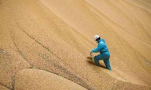 中企刚买4船美豆，特朗普又变卦，下架大批中货，不准中违约