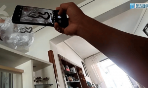 云南一对夫妻旅游一周，回家发现客厅变“蛇窝”，从网购盆栽里孵出大小10条蛇