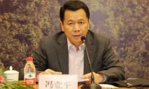 原司长冯亚平,受贿数额特别巨大