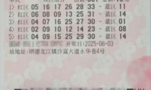 男子10元单式票揽双色球838万:奖金用于养老