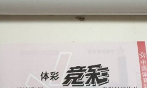 太牛!彩民2400元擒世俱杯大冷比分中奖135万