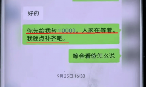 “他昨晚还在我家吃饭!” 结婚登记前夜准新郎被抓,女子崩溃
